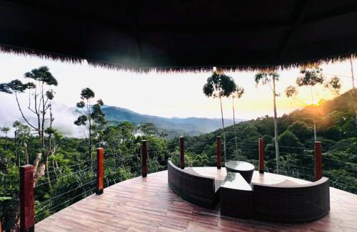 Real Bed & Breakfast | Forest 101