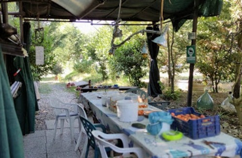 Vada Cabin | FOREST AND ART IN SILENCE AND PEACE- min. 3 nights in front of n. 49