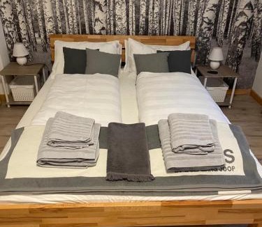 Menzenschwand-Hinterdorf House | Forest Apartment-Forest Escape Menzenschwand