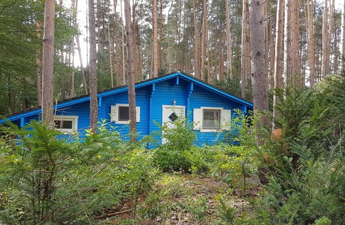Hitzacker House | "Forest bathing" in Wendland, near the Elbe - hiking and cycling from the doorstep