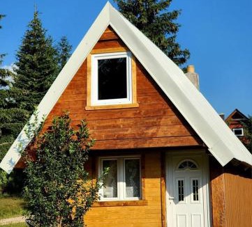 Zabljak Ski Chalet | Forest Cabin 3