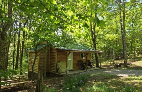 Pittsburg Cabin | Forest Cabin at Sinking Creek
