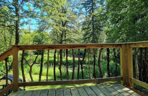Duvall Cabin | Forest Cabin Hideaway + Fireplace +BBQ + Pond & Wildlife
