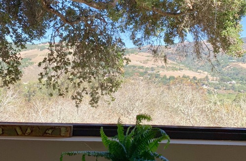 Carmel Cabin | Forest Cabin nestled in oak sanctuary between Valley Village and Carmel Beach