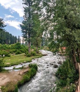 Srinagar Ski Chalet | Forest Cabin Stay in Doodpathri - Perfect for Couples, Bonfire, BBQ