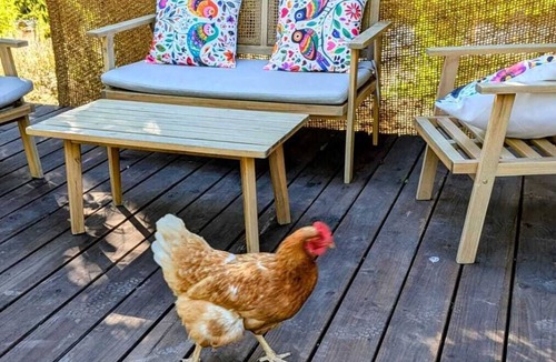 Forcalquier House | Forest Cabin · Terrace and BBQ · Donkeys and Hiking · 5 min from downtown Forcalquier