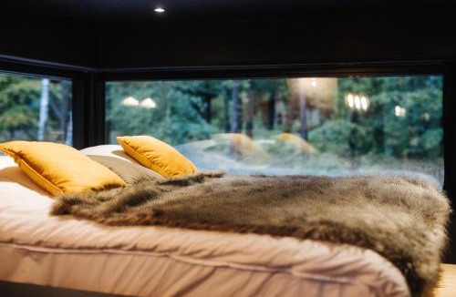 Grandham House | Forest Cube