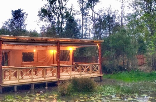Knysna Cottage | Forest Edge