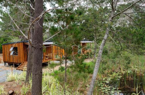 Buffalo Hills Game Reserve Cabin | Forest Gate Cabins