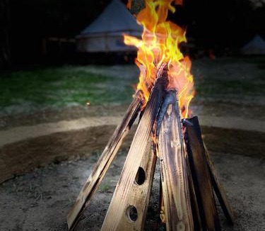 Vulcan Other | Forest Glamping