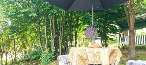 Covasna Villa | Forest Hide Tiny House