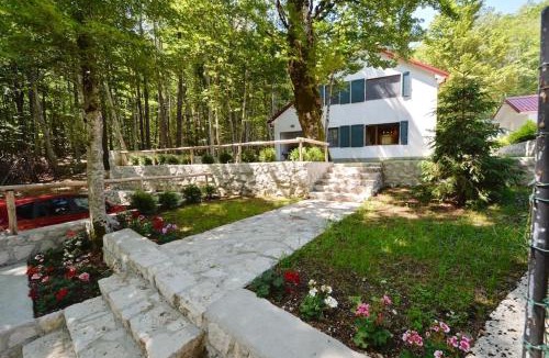 Cetinje House | Forest house
