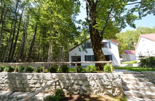 Cetinje House | Forest house