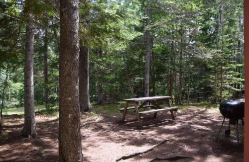 Murray Harbour Resort | Forest & Lake PEI Cottages