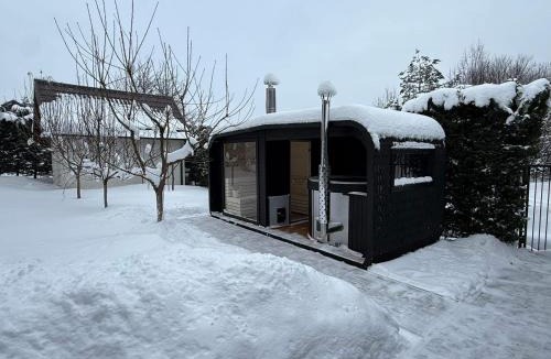 Zalau House | Forest Nook