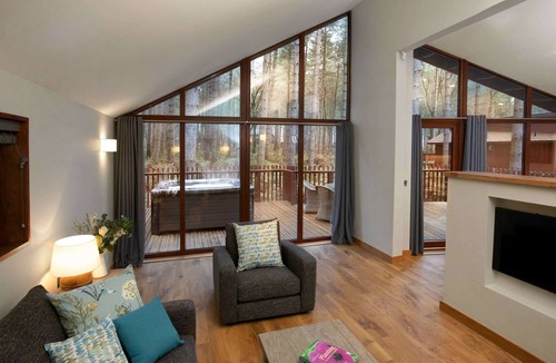 Berry Hill Cabin | Forest of Dean Woodland - Silver Birch, Coleford
