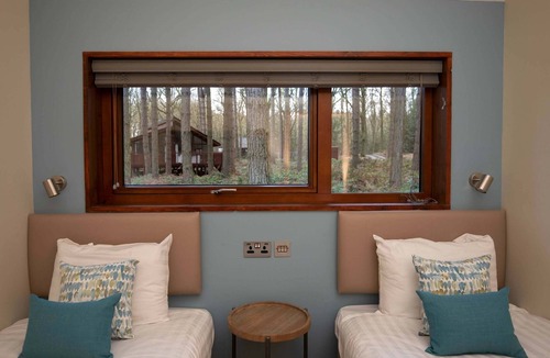 Berry Hill Cabin | Forest of Dean Woodland - Silver Birch, Coleford