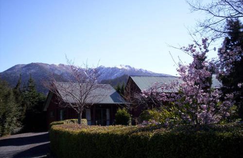 Hanmer Springs Hotel | Forest Peak Motel