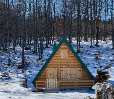 Pluzine Ski Chalet | Forest rest
