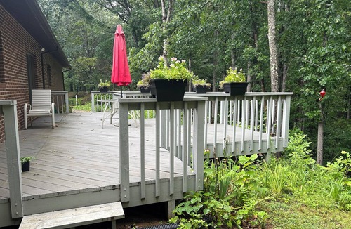 Buchanan Apartment | Forest Retreat Private Studio. Full kitchen and bathroom, queen bed, sleep sofa.