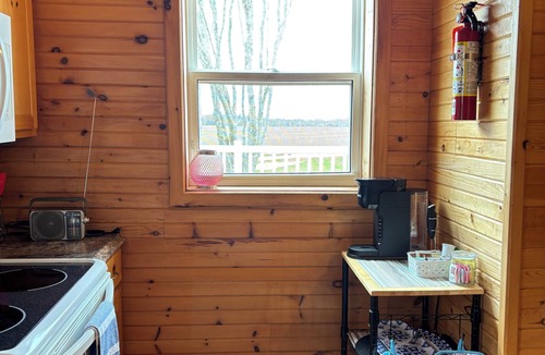 Borden-Carleton Cottage | Forest Shore Cottage - water view, fire pit, peaceful location.