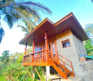 Kecamatan Pringgasela House | Forest Side Bungalow