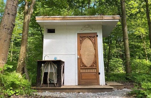 Rodney Cabin | Forest Site Under the stars