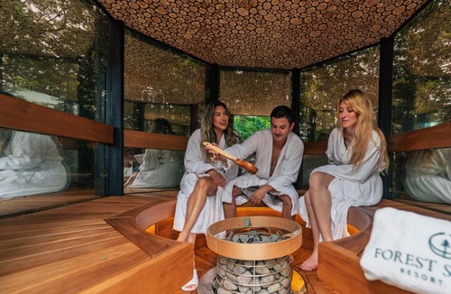 Eureka Springs Hotel | Forest Springs Resort