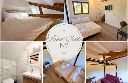 Noisy-le-Grand House | Forest Suites, 12 Studios, Paris et Disney