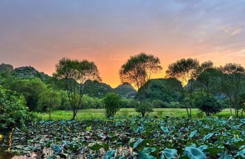 Hoa Lu Hostel | Forest Sunset hostel