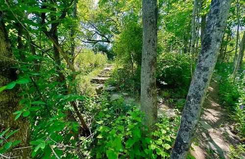 Town of Fulton Cabin | Forest Tiny Cabin & Majestic Waterfall