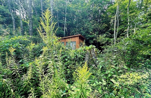 Town of Fulton Cabin | Forest Tiny Cabin & Majestic Waterfall