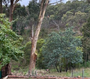 Hepburn Springs Apartment | Forest view apartment Hepburn springs