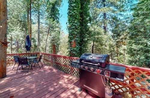 Crestline Cabin | Forest-view cabin with deck, grill, wood stove, washer/dryer, & fast WiFi