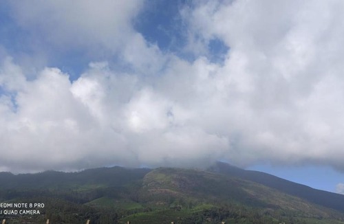 Anaviratty House | Forest View Home Stay Munnar