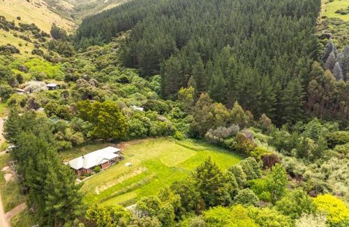 Little River House | Forest View - Spacious & private full home retreat