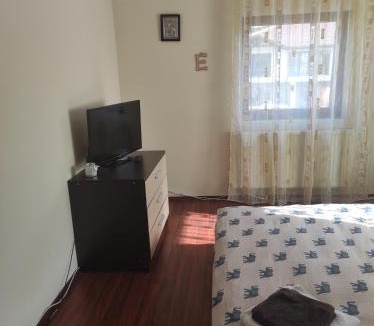 Busteni Villa | Forest Vila