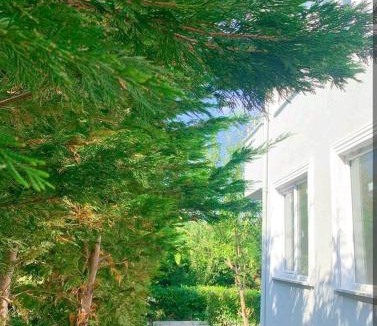 Arnavutkoy Bed & Breakfast | forest villa, breakfast hotel, 6 minutes from Istanbul airport
