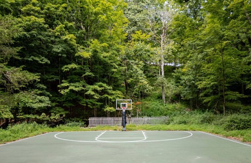 Hollowville Cabin | Forested Retreat | Pool | Pickle/Basketball Courts