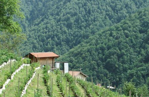 Paisco Loveno Hostel | Foresteria Giardino