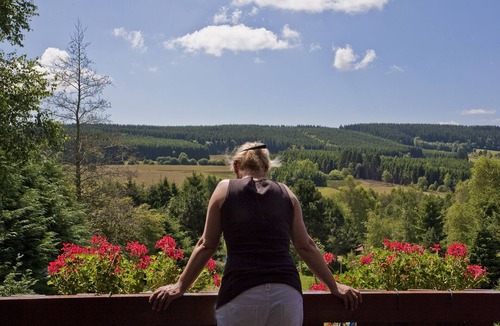 Bournoufay House | Forestside Chalet with Charm