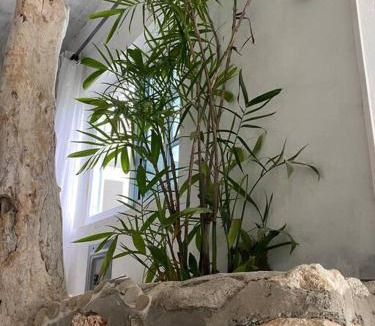 Robins Bay Apartment | Forever Beach Apartment