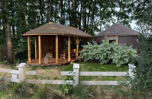 Bydgoszcz Other | FORGLAMP