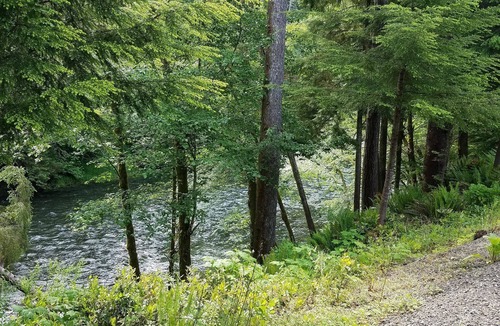 Beaver Cabin | Forks & twilighters getaway at the edge of SolDuc River. bike, hike, walk, fish