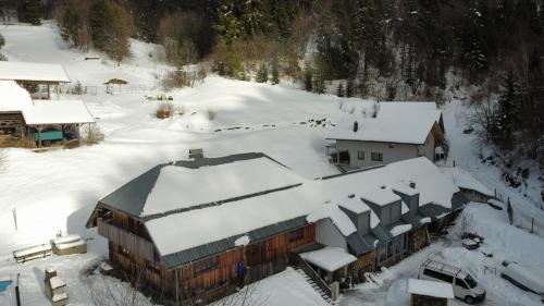 Dobrova-Polhov Gradec Apartment | Forrest Farmstay Apartments with a Pool