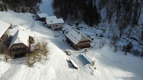 Dobrova-Polhov Gradec Apartment | Forrest Farmstay Apartments with a Pool