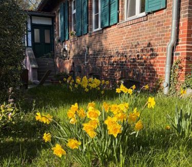 Harzgerode Apartment | Forsthaus Neudorf - Eschenblick