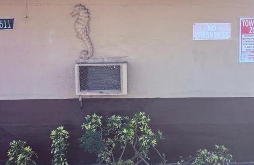 Maravilla Hotel | Fort Myers Inn