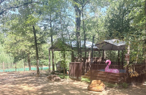 Valley View Cabin | Four 6666 - Come experience a sleepover with our Giraffe, Puzzles and Jigsaw!