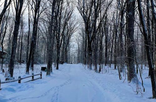 Swanton House | Four Bear Cabin